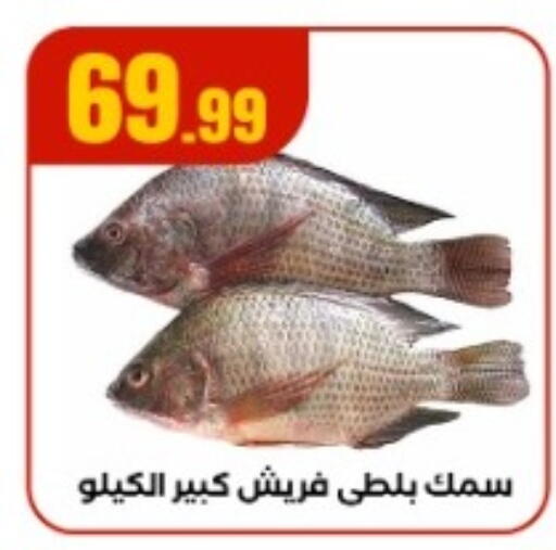 available at مارت فيل in Egypt - القاهرة