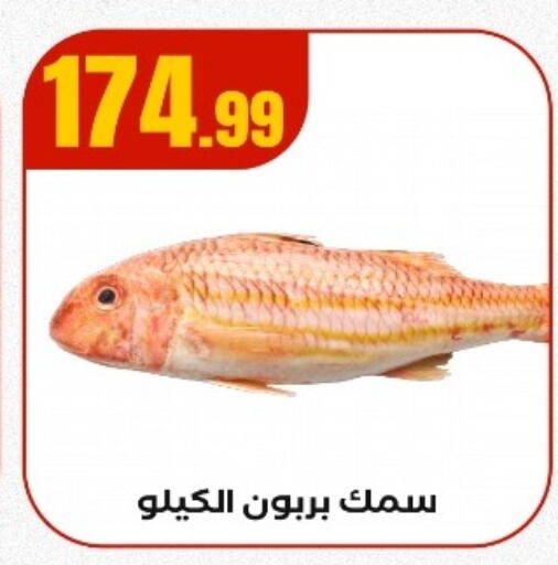 available at مارت فيل in Egypt - القاهرة