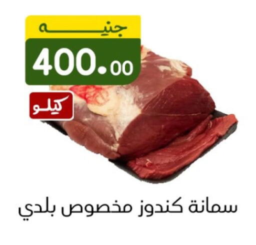 available at خان الحسين in Egypt - القاهرة