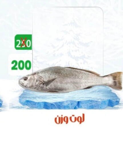 available at هايبر ميزة مصر in Egypt - القاهرة