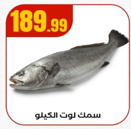 available at مارت فيل in Egypt - القاهرة