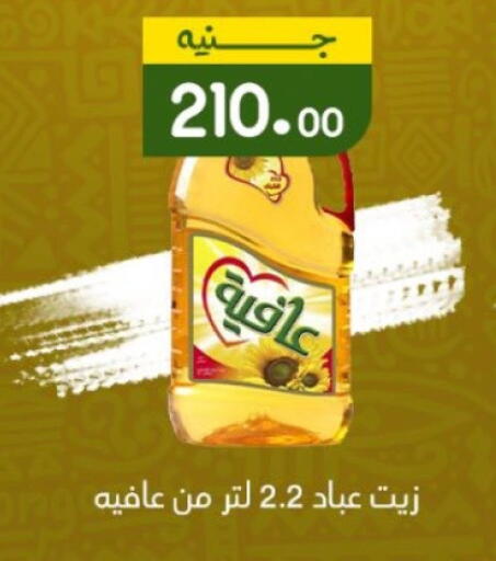 AFIA available at Khan Elhussein in Egypt - Cairo