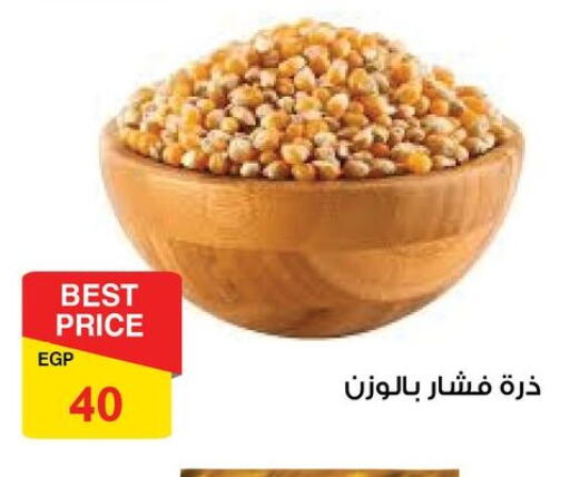 available at فتح الله in Egypt - القاهرة