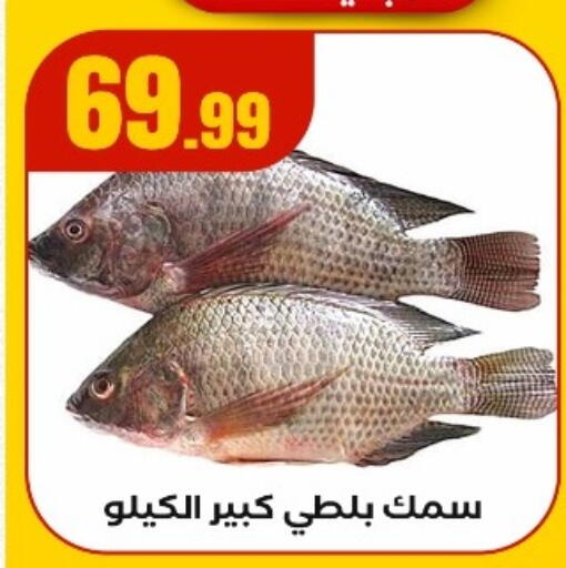 available at مارت فيل in Egypt - القاهرة