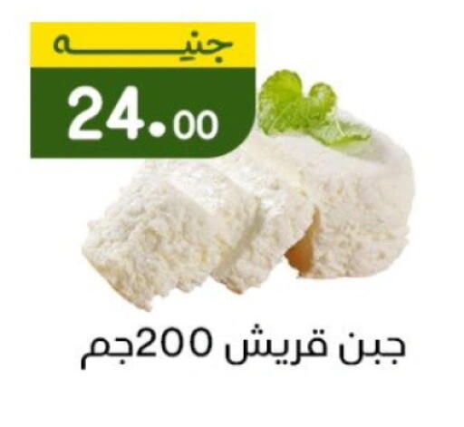 available at خان الحسين in Egypt - القاهرة