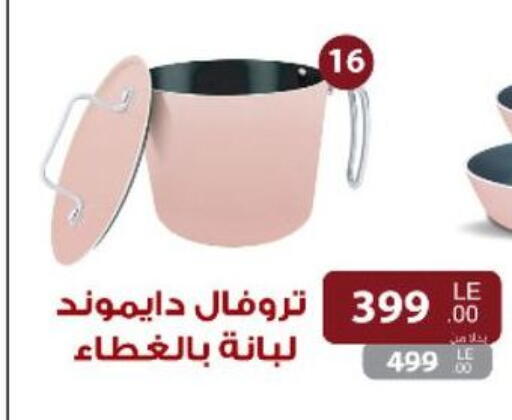 available at Fathalla Market  in Egypt - Cairo