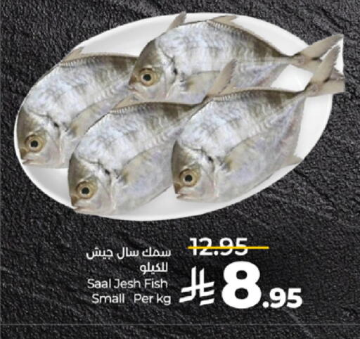 available at لولو هايبرماركت in مملكة العربية السعودية, السعودية, سعودية - تبوك