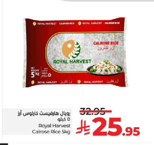 أرز كالروز available at لولو هايبرماركت in مملكة العربية السعودية, السعودية, سعودية - تبوك