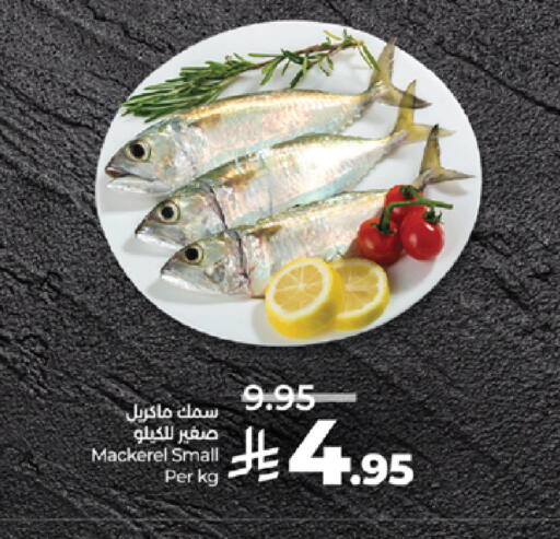 available at لولو هايبرماركت in مملكة العربية السعودية, السعودية, سعودية - تبوك