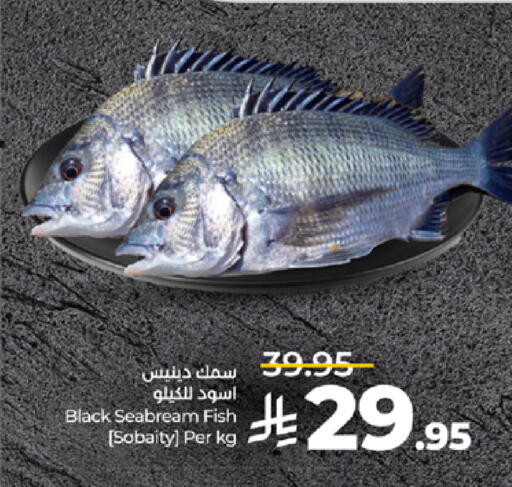 available at لولو هايبرماركت in مملكة العربية السعودية, السعودية, سعودية - تبوك