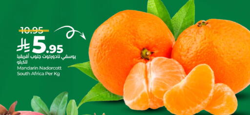Orange from South Africa available at LULU Hypermarket in KSA, Saudi Arabia, Saudi - Al Khobar
