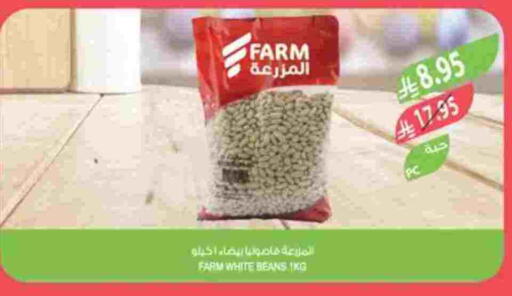 available at Farm  in KSA, Saudi Arabia, Saudi - Sakaka