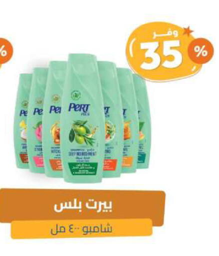 بيرت بلس شامبو / بلسم available at صيدلية المتحدة in مملكة العربية السعودية, السعودية, سعودية - المدينة المنورة