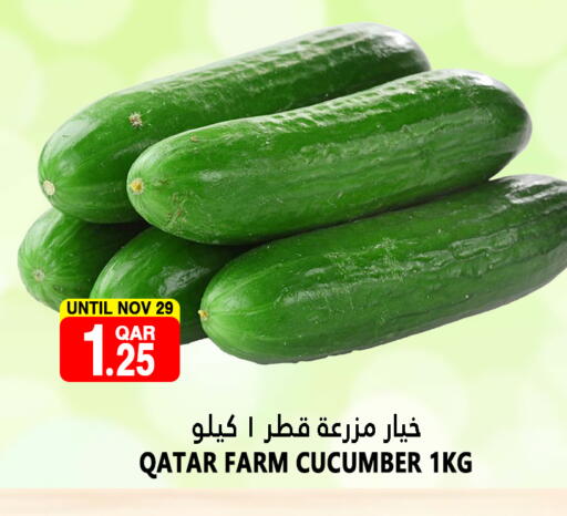 Cucumber from Qatar available at Food Palace Hypermarket in Qatar - Umm Salal