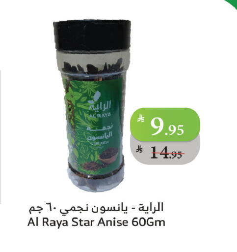 Star Anise available at Al Raya in KSA, Saudi Arabia, Saudi - Tabuk