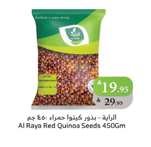 available at Al Raya in KSA, Saudi Arabia, Saudi - Tabuk