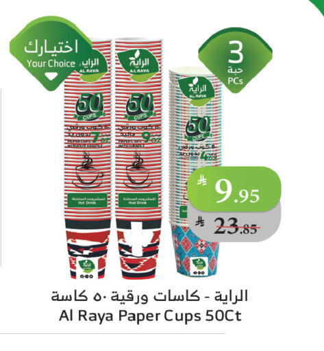 Cup available at Al Raya in KSA, Saudi Arabia, Saudi - Tabuk