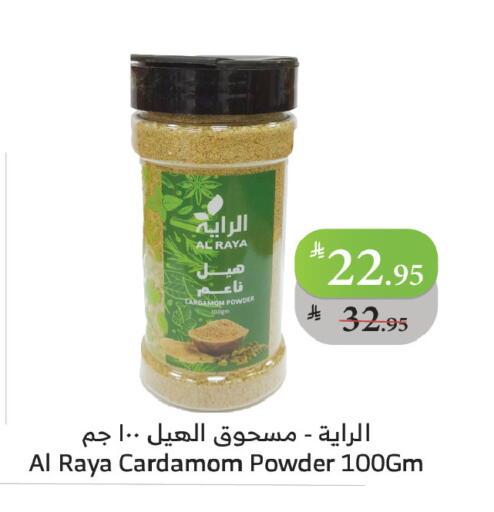 Spices available at Al Raya in KSA, Saudi Arabia, Saudi - Tabuk