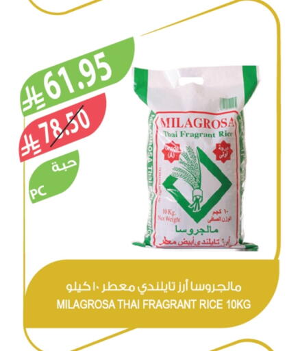 White Rice available at Farm  in KSA, Saudi Arabia, Saudi - Sakaka