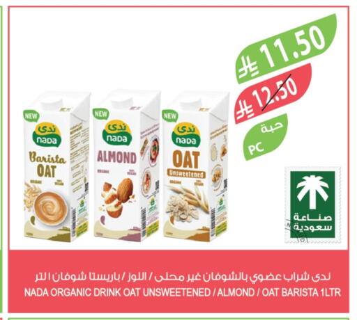 NADA available at Farm  in KSA, Saudi Arabia, Saudi - Tabuk