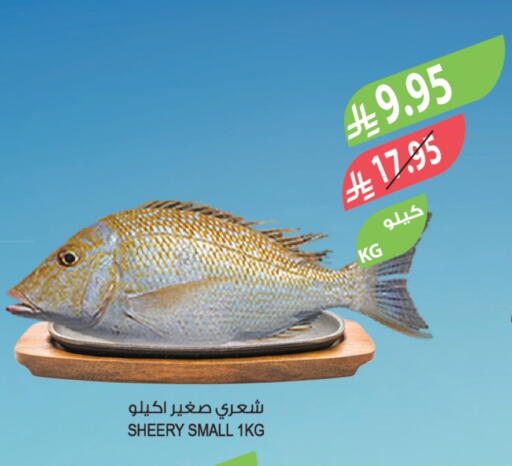 available at Farm  in KSA, Saudi Arabia, Saudi - Tabuk