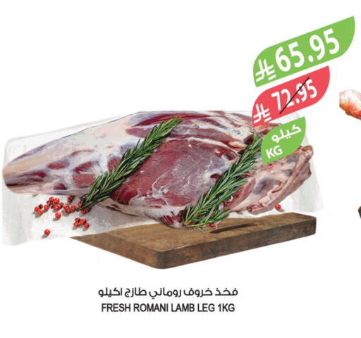 Mutton / Lamb available at Farm  in KSA, Saudi Arabia, Saudi - Al-Kharj