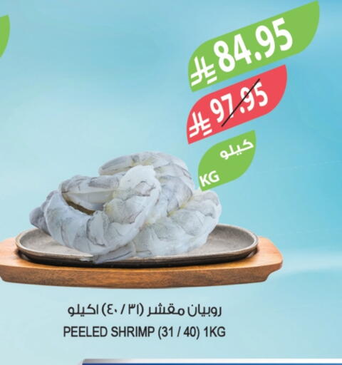 available at Farm  in KSA, Saudi Arabia, Saudi - Tabuk