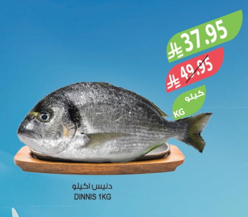 available at Farm  in KSA, Saudi Arabia, Saudi - Tabuk