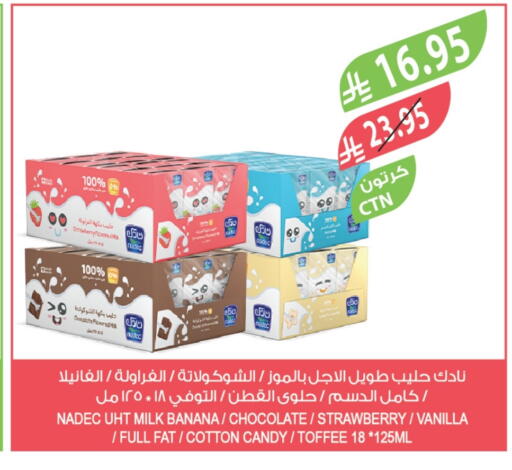 NADEC Long Life / UHT Milk available at Farm  in KSA, Saudi Arabia, Saudi - Al Khobar