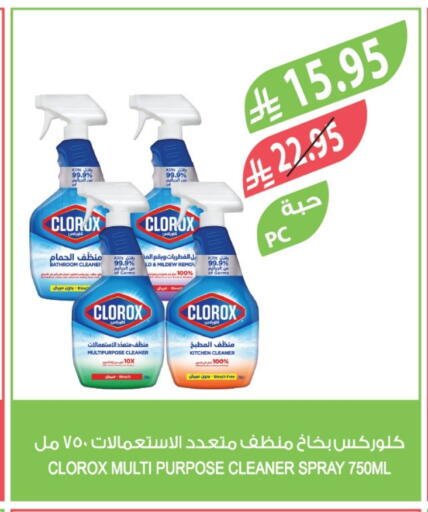 CLOROX Toilet / Drain Cleaner available at Farm  in KSA, Saudi Arabia, Saudi - Al Khobar