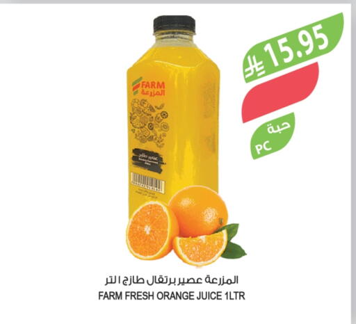 Orange available at Farm  in KSA, Saudi Arabia, Saudi - Al Khobar