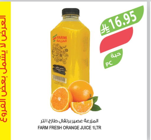 Orange available at Farm  in KSA, Saudi Arabia, Saudi - Tabuk