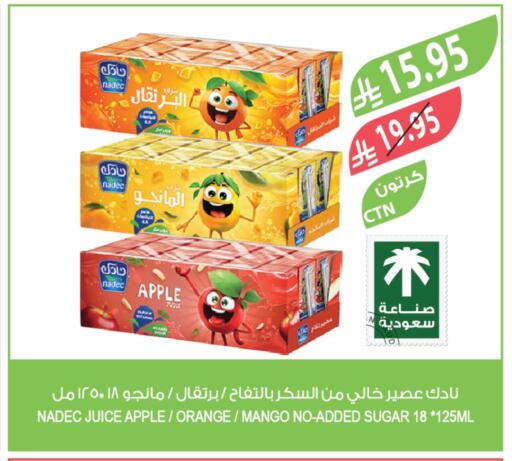 NADEC available at Farm  in KSA, Saudi Arabia, Saudi - Al-Kharj