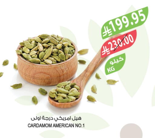 Dried Herbs available at Farm  in KSA, Saudi Arabia, Saudi - Al Khobar