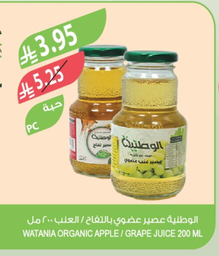 Apple available at Farm  in KSA, Saudi Arabia, Saudi - Tabuk