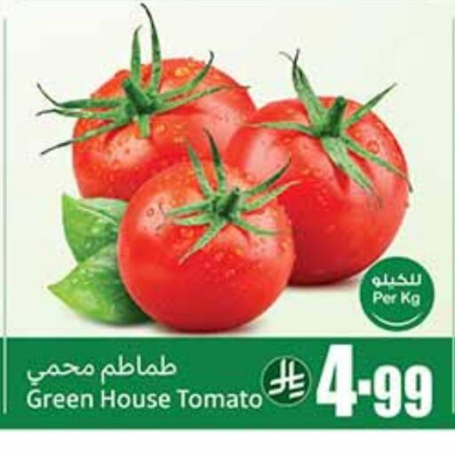 Tomato available at Othaim Markets in KSA, Saudi Arabia, Saudi - Al Khobar