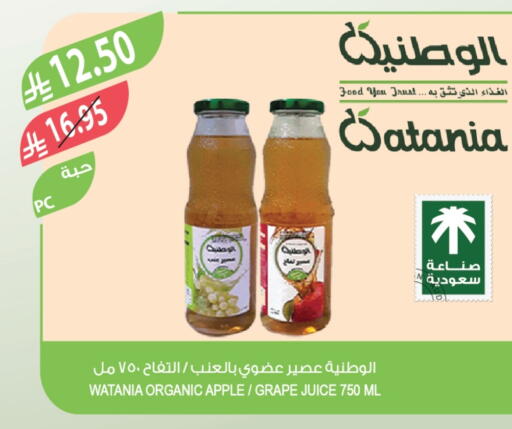 Apple available at Farm  in KSA, Saudi Arabia, Saudi - Tabuk