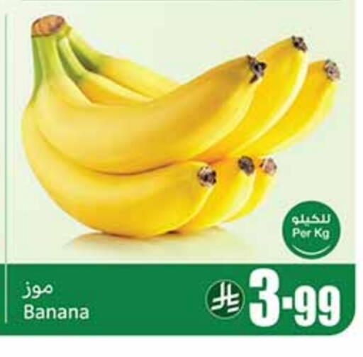 Banana available at Othaim Markets in KSA, Saudi Arabia, Saudi - Al Khobar