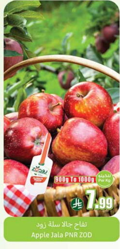Apples available at Othaim Markets in KSA, Saudi Arabia, Saudi - Sakaka
