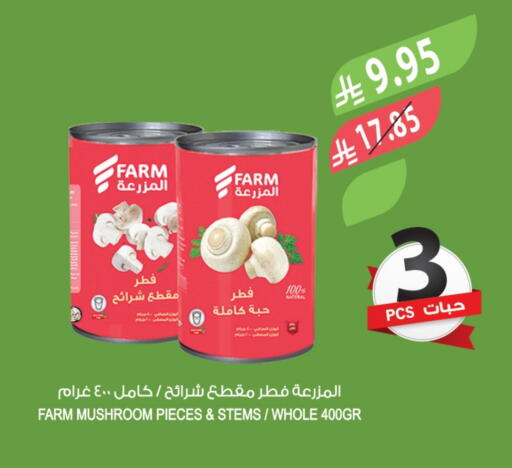 Mushroom available at Farm  in KSA, Saudi Arabia, Saudi - Al-Kharj