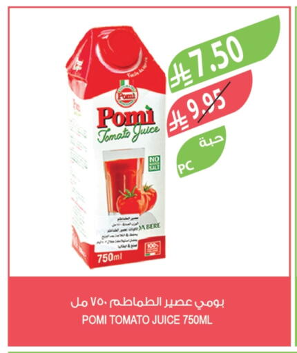 Tomato available at Farm  in KSA, Saudi Arabia, Saudi - Tabuk