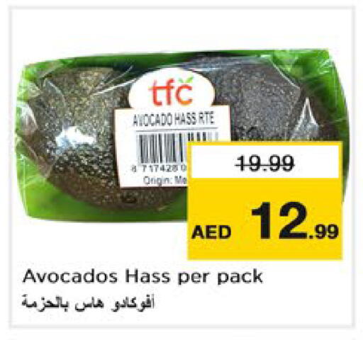 Avocado available at Nesto Hypermarket in UAE - Dubai