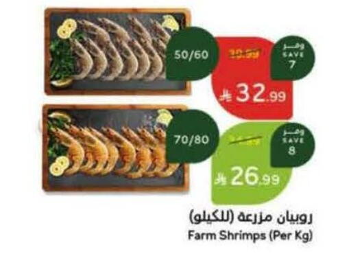 available at Hyper Panda in KSA, Saudi Arabia, Saudi - Tabuk