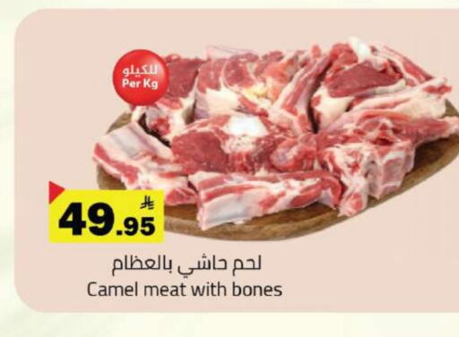Camel meat available at Hypermarket Stor in KSA, Saudi Arabia, Saudi - Tabuk