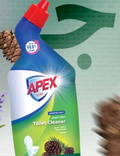 Toilet / Drain Cleaner available at Rawabi Hypermarket in Qatar - Al Shamal