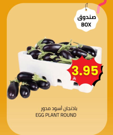 available at أسواق أسترا in مملكة العربية السعودية, السعودية, سعودية - تبوك