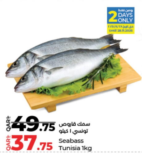 available at LuLu Hypermarket in Qatar - Al Rayyan