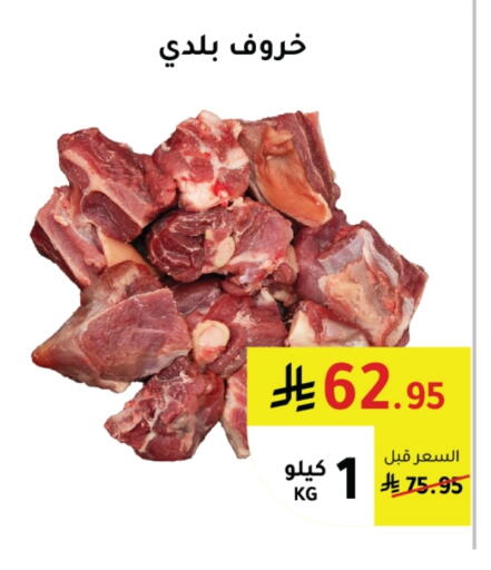 available at AlHajri Food in KSA, Saudi Arabia, Saudi - Abha