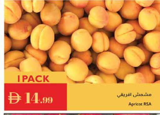 Apricot available at إسطنبول سوبرماركت in الإمارات العربية المتحدة , الامارات - رَأْس ٱلْخَيْمَة