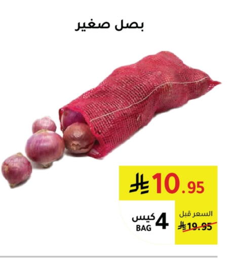 Onion available at AlHajri Food in KSA, Saudi Arabia, Saudi - Khamis Mushait